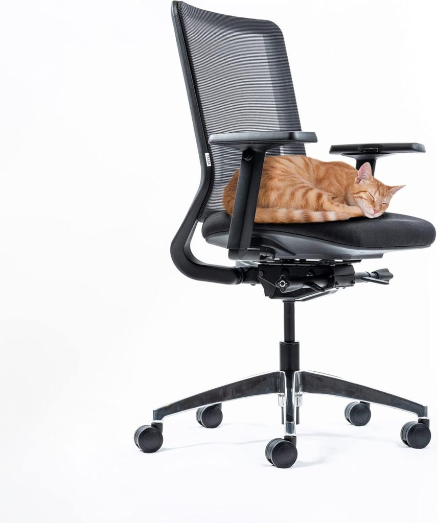 Test de la chaise ergonomique Yaasa Chair : confort et soutien lombaire