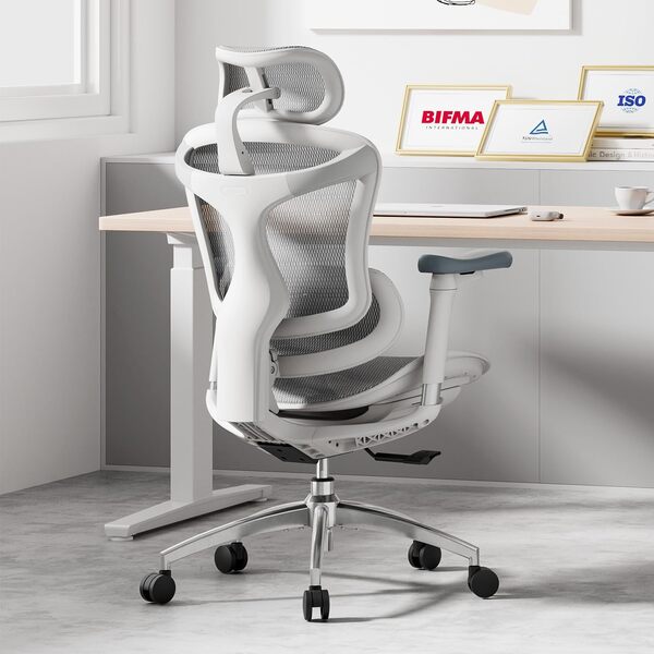 SIHOO Doro C300 Chaise de Bureau Ergonomique avec Accoudoirs Ultra Doux en 3D, Soutien Lombaire Dynamique pour Chaise Bureau à Domicile, Fauteuil de Bureau avec Dossier réglable(Blanc)