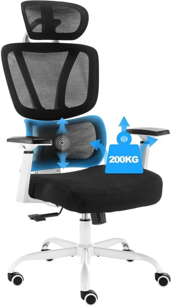 Test de la chaise de bureau BRTHORY ergonomique avec support lombaire