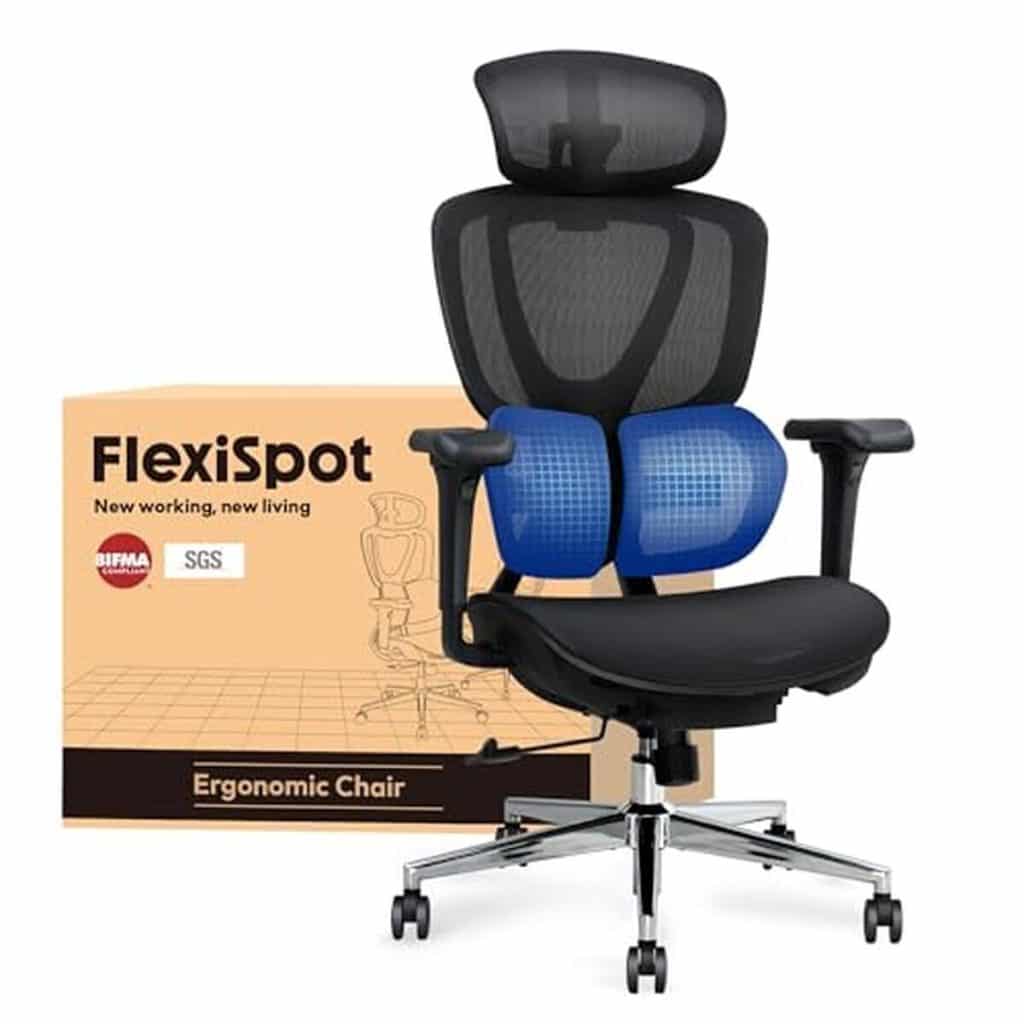 Test : chaise ergonomique Flexispot avec support lombaire